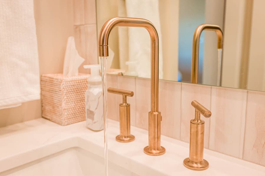 bronze bathroom faucet in Lampeter-Strasburg Primary bathroom Remodel